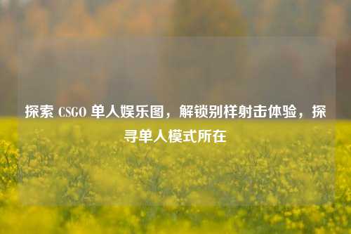 探索 CSGO 单人娱乐图，解锁别样射击体验，探寻单人模式所在
