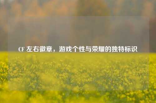 CF 左右徽章，游戏个性与荣耀的独特标识