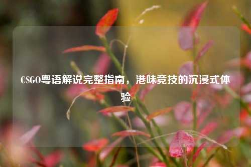 CSGO粤语解说完整指南,港味竞技的沉浸式体验