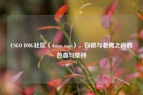 CSGO DMG社区(dmm csgo),白银与老鹰之间的热血与坚持