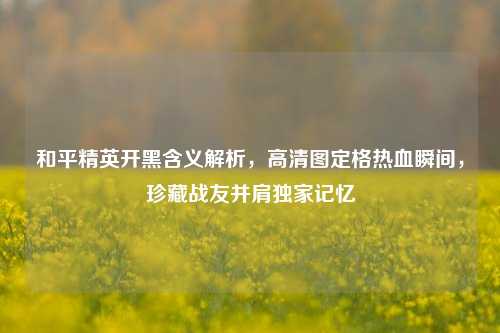 和平精英开黑含义解析，高清图定格热血瞬间，珍藏战友并肩独家记忆