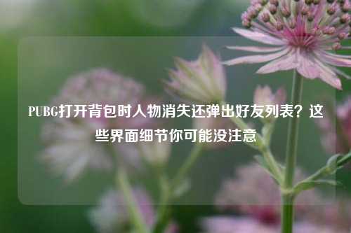 PUBG打开背包时人物消失还弹出好友列表?这些界面细节你可能没注意