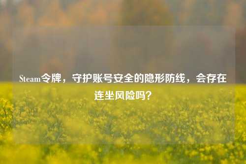 Steam令牌，守护账号安全的隐形防线，会存在连坐风险吗？