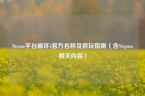 Steam平台崩坏3官方名称及游玩指南(含Stigma相关内容)