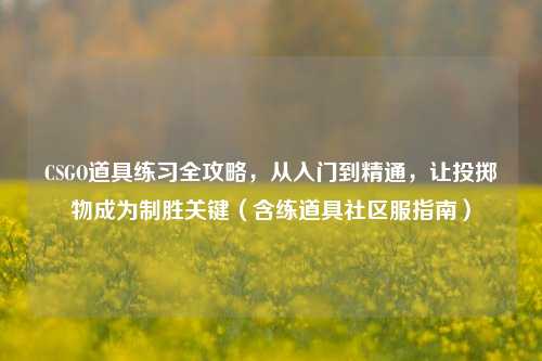 CSGO道具练习全攻略，从入门到精通，让投掷物成为制胜关键（含练道具社区服指南）