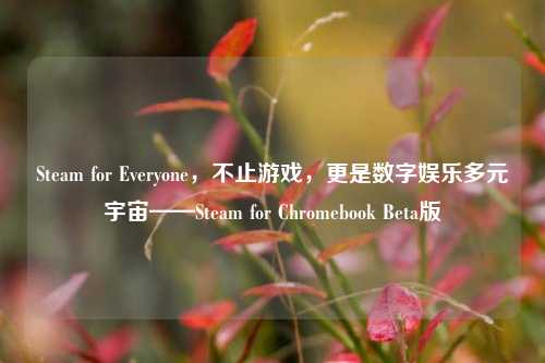 Steam for Everyone,不止游戏,更是数字娱乐多元宇宙——Steam for Chromebook Beta版