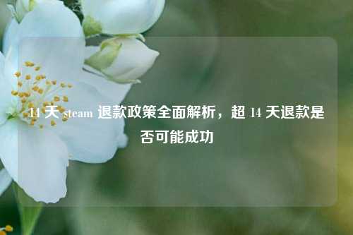 14 天 steam 退款政策全面解析,超 14 天退款是否可能成功
