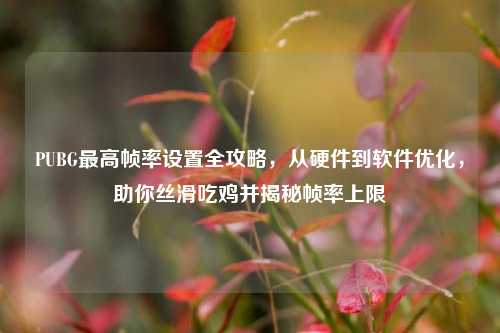PUBG更高帧率设置全攻略,从硬件到软件优化,助你丝滑吃鸡并揭秘帧率上限