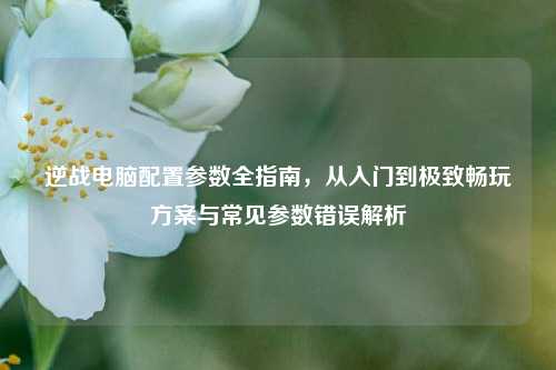 逆战电脑配置参数全指南，从入门到极致畅玩方案与常见参数错误解析