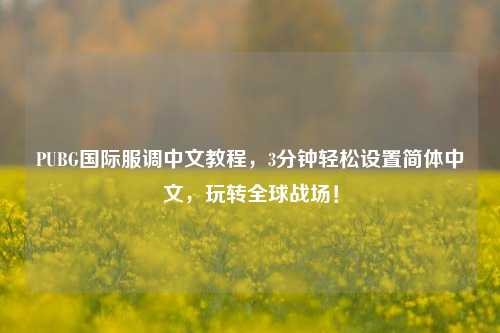 PUBG国际服调中文教程，3分钟轻松设置简体中文，玩转全球战场！