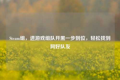 Steam组，进游戏组队开黑一步到位，轻松找到同好队友