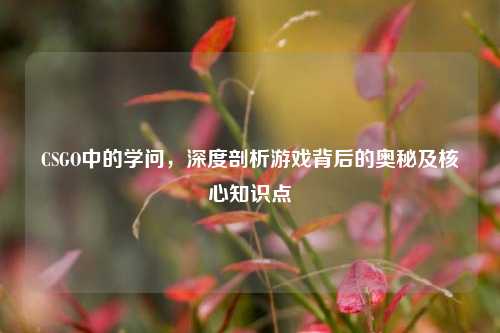 CSGO中的学问，深度剖析游戏背后的奥秘及核心知识点
