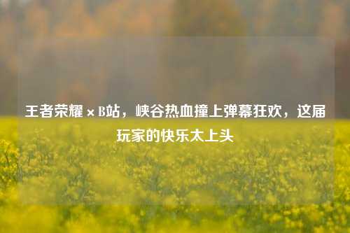 王者荣耀×B站，峡谷热血撞上弹幕狂欢，这届玩家的快乐太上头