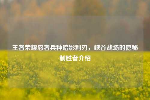 王者荣耀忍者兵种暗影利刃，峡谷战场的隐秘制胜者介绍