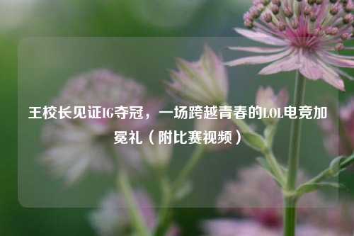 王校长见证IG夺冠，一场跨越青春的LOL电竞加冕礼（附比赛视频）
