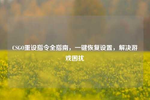 CSGO重设指令全指南,一键恢复设置,解决游戏困扰