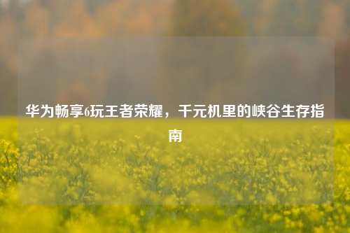 华为畅享6玩王者荣耀，千元机里的峡谷生存指南