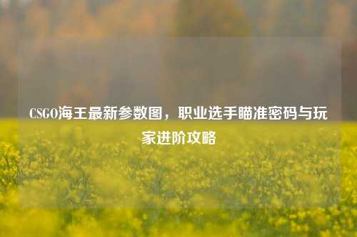 CSGO海王最新参数图,职业选手瞄准密码与玩家进阶攻略