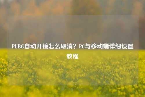 PUBG自动开镜怎么取消？PC与移动端详细设置教程