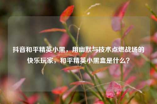 抖音和平精英小黑,用幽默与技术点燃战场的快乐玩家,和平精英小黑盒是什么?