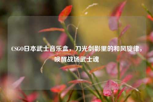 CSGO日本武士音乐盒，刀光剑影里的和风旋律，唤醒战场武士魂