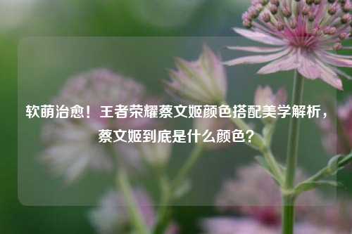 软萌治愈！王者荣耀蔡文姬颜色搭配美学解析，蔡文姬到底是什么颜色？