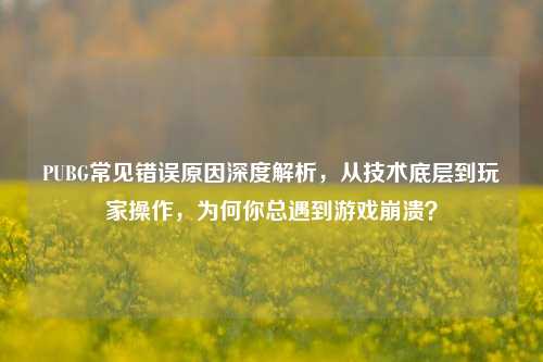 PUBG常见错误原因深度解析，从技术底层到玩家操作，为何你总遇到游戏崩溃？