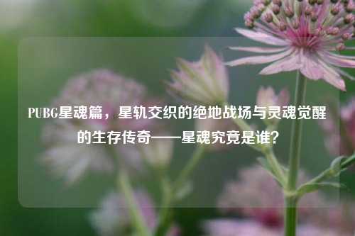 PUBG星魂篇，星轨交织的绝地战场与灵魂觉醒的生存传奇——星魂究竟是谁？