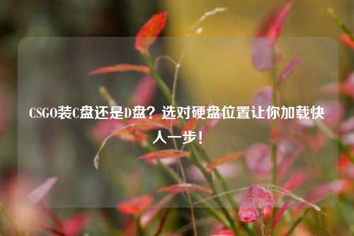 CSGO装C盘还是D盘?选对硬盘位置让你加载快人一步!