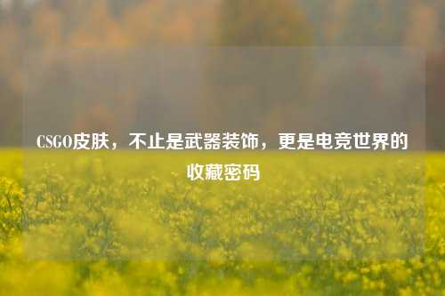 CSGO皮肤,不止是武器装饰,更是电竞世界的收藏密码