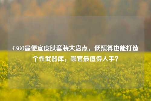 CSGO更便宜皮肤套装大盘点,低预算也能打造个性武器库,哪套最值得入手?
