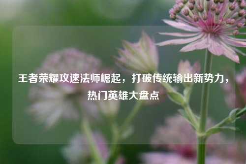 王者荣耀攻速法师崛起，打破传统输出新势力，热门英雄大盘点