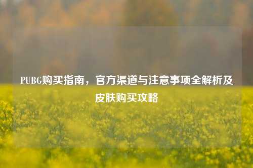 PUBG购买指南，官方渠道与注意事项全解析及皮肤购买攻略