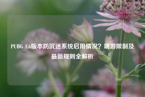 PUBG 1.6版本防沉迷系统启用情况？端游限制及最新规则全解析