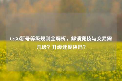 CSGO新号等级规则全解析,解锁竞技与交易需几级?升级速度快吗?