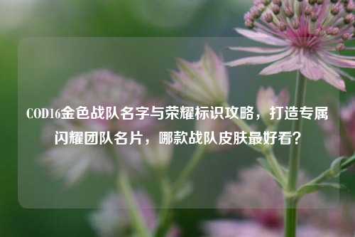 COD16金色战队名字与荣耀标识攻略，打造专属闪耀团队名片，哪款战队皮肤更好看？