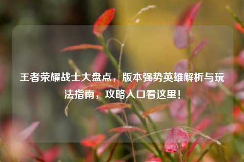王者荣耀战士大盘点,版本强势英雄解析与玩法指南,攻略入口看这里!