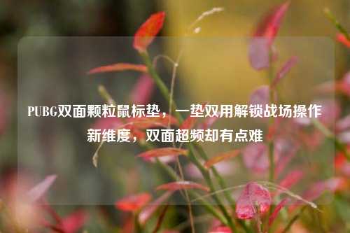 PUBG双面颗粒鼠标垫,一垫双用解锁战场操作新维度,双面超频却有点难
