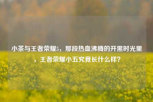 小茶与王者荣耀5,那段热血沸腾的开黑时光里,王者荣耀小五究竟长什么样?