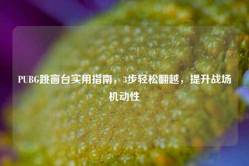 PUBG跳窗台实用指南，3步轻松翻越，提升战场机动性