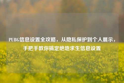 PUBG信息设置全攻略，从隐私保护到个人展示，手把手教你搞定绝地求生信息设置