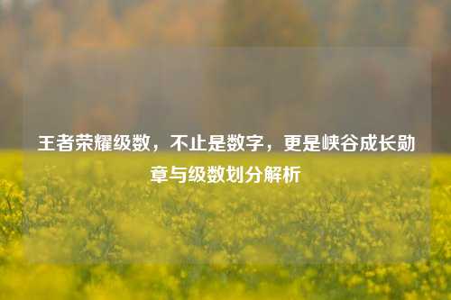 王者荣耀级数,不止是数字,更是峡谷成长勋章与级数划分解析