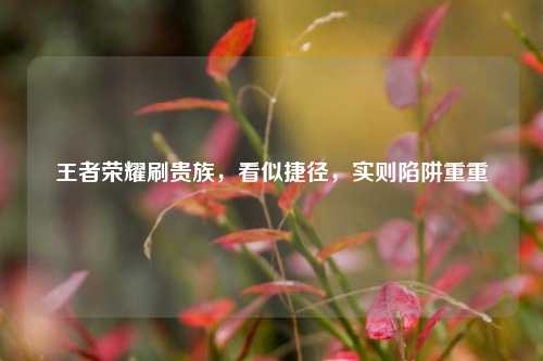 王者荣耀刷贵族，看似捷径，实则陷阱重重