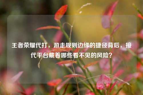 王者荣耀代打,游走规则边缘的捷径背后,接代平台藏着哪些看不见的风险?