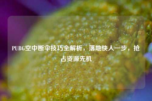 PUBG空中断伞技巧全解析,落地快人一步,抢占资源先机