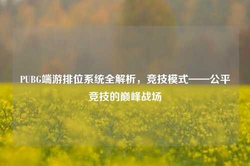 PUBG端游排位系统全解析，竞技模式——公平竞技的巅峰战场