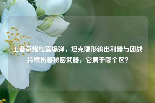 王者荣耀红莲爆弹，坦克隐形输出利器与团战持续伤害秘密武器，它属于哪个区？
