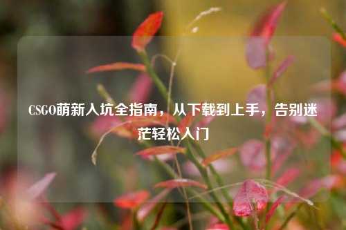 CSGO萌新入坑全指南,从下载到上手,告别迷茫轻松入门