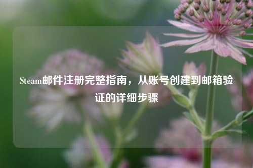 Steam邮件注册完整指南，从账号创建到邮箱验证的详细步骤