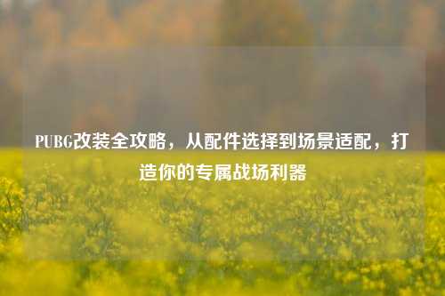 PUBG改装全攻略,从配件选择到场景适配,打造你的专属战场利器
